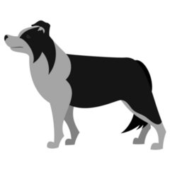 Simple Border Collie Sticker