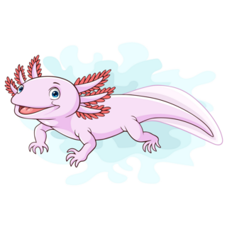 Simple Cartoon Axolotl Sticker