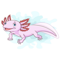 Simple Cartoon Axolotl Sticker