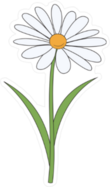 Simple Cartoon Daisy Sticker