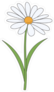Simple Cartoon Daisy Sticker