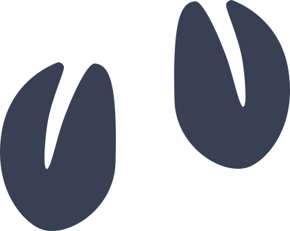 Simple Deer Footprints Sticker