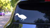Simple Duck Sticker on a Rear Car Window (New) example