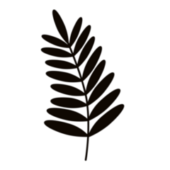 Simple Fern Leaf Transfer Sticker