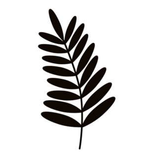 Simple Fern Leaf Transfer Sticker