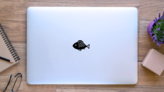 Simple Fish Transfer Sticker on a Laptop (New) example