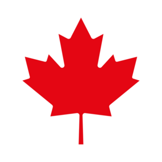 Simple Maple Leaf Icon