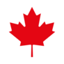 Simple Maple Leaf Icon