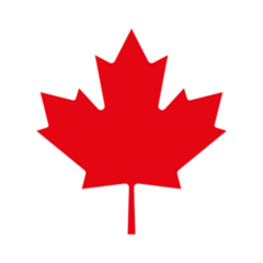 Simple Maple Leaf Icon