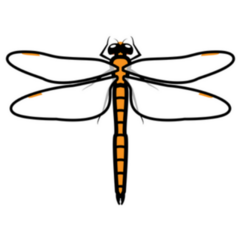 Simple Orange Dragonfly Sticker