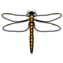Simple Orange Dragonfly Sticker