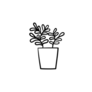 Simple Outline of a Ficus Indoor Plant Transfer Sticker