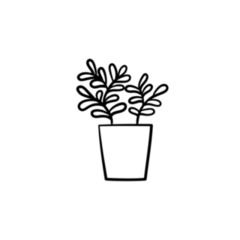 Simple Outline of a Ficus Indoor Plant Transfer Sticker