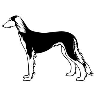 Simple Saluki Sticker