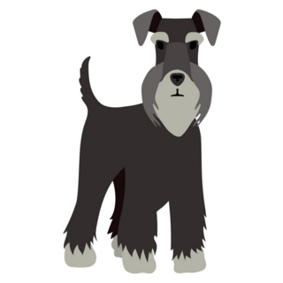 Simple Schnauzer Sticker