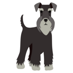 Simple Schnauzer Sticker