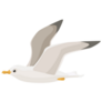 Simple Seagull Sticker