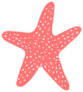 Simple Starfish In Flat Style Sticker