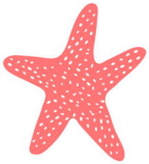 Simple Starfish In Flat Style Sticker