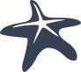 Simple Starfish Sticker