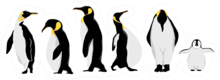 Simple White Black Penguin Characters Doodle Cartoon Sticker