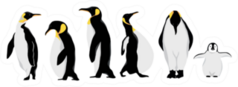Simple White Black Penguin Characters Doodle Cartoon Sticker