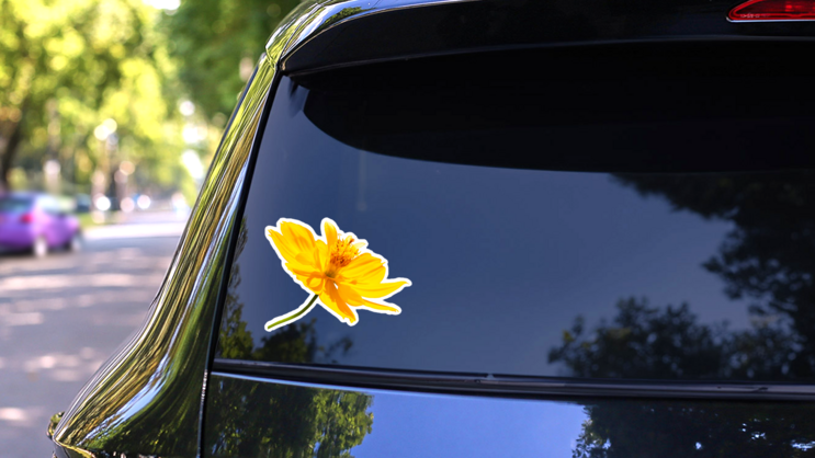 Singapore Daisy Yellow Flower Sticker on a Rear Car Window (New) example
