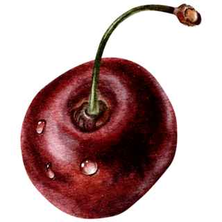 Single Cherry Sticker