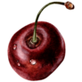 Single Cherry Sticker