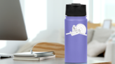 Single Continuous Drawing MRI Procedure Sticker on a Water Bottle (New) example