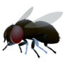 Single Dirty Brown Fly Sticker