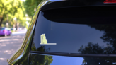 Single Line Robot Climb Sticker on a Rear Car Window (New) example