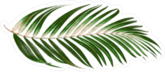 Single Palm Frond Sticker