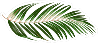 Single Palm Frond Sticker