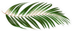 Single Palm Frond Sticker