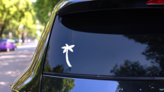 Single Palm Tree Sticker on a Rear Car Window (New) example