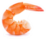 Single Shrimp On A White Background Sticker