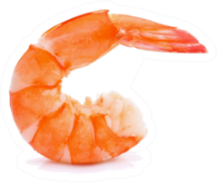 Single Shrimp On A White Background Sticker