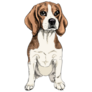 Sitting Beagle Dog Sticker
