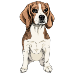 Sitting Beagle Dog Sticker