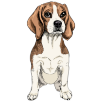 Sitting Beagle Dog Sticker