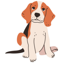 Sitting  Beagle Sticker