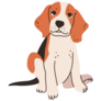 Sitting  Beagle Sticker
