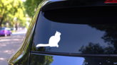 Sitting Cat Sticker on a Rear Car Window (New) example