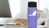 Sitting Cat Sticker on a Water Bottle (New) example