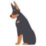 Sitting Doberman Sticker