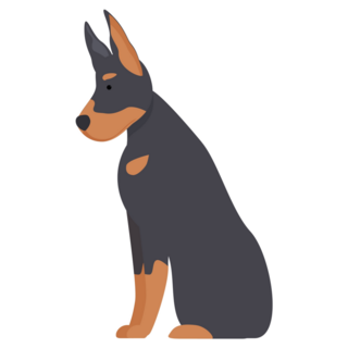 Sitting Doberman Sticker