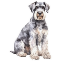 Sitting Schnauzer Sticker