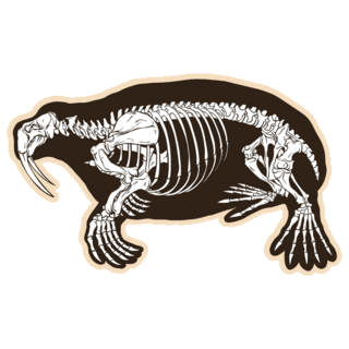 Skeleton Walrus Sticker