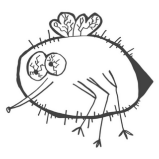 Sketch Doodle Drawing Of Mosquito Sticker